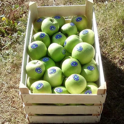 Слика Granny Smith