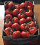 Afbeeldingen van Tomatoes