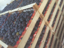 පින්තූරය Plums