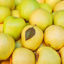 පින්තූරය Mutsu