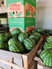Picture of Watermelon