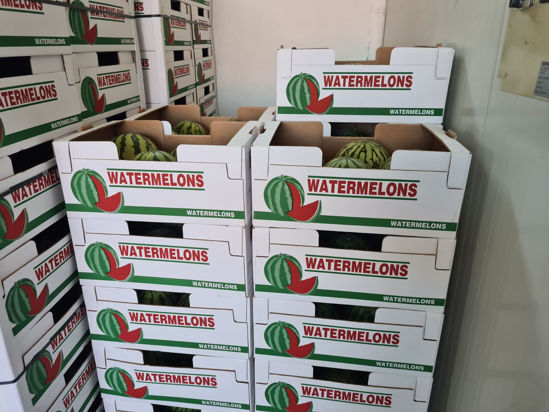 Picture of Watermelon