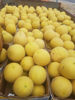 Ảnh của Melon