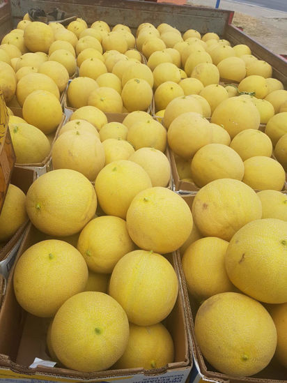 Ảnh của Melon