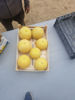 Ảnh của Melon