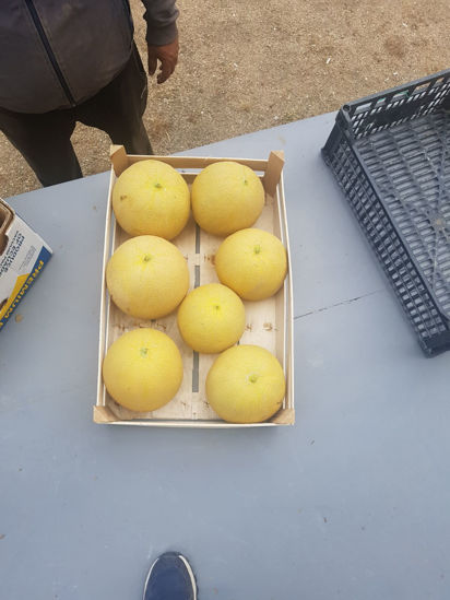 Ảnh của Melon