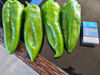 Picture of Green Peppers