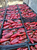 Picture of Red Peppers