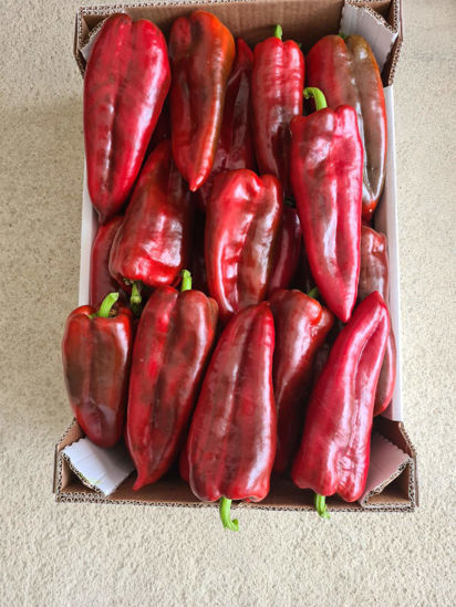 Picture of Red Peppers