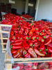 Picture of Red Peppers