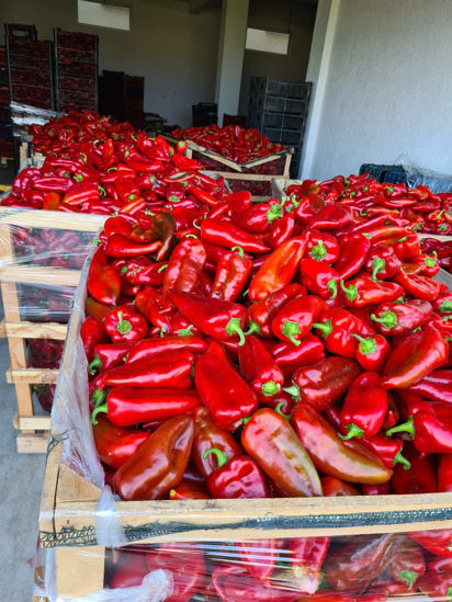 Picture of Red Peppers