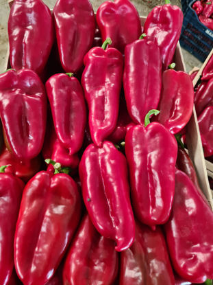 صورة Red Peppers