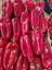 Red Peppers resmi