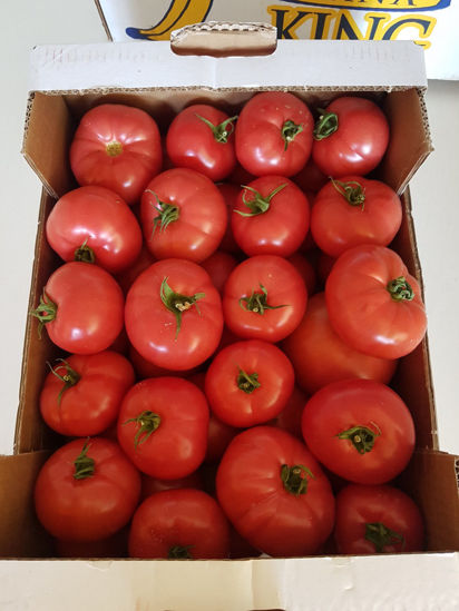Слика Tomatoes