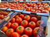 Picture of Tomatoes