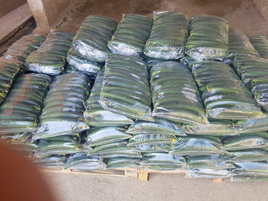 Picture of Cucumbers