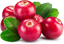 Picture of Organic Redberry