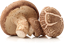 Organic Mushrooms의 그림