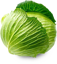 Picture of Organic Cabbage