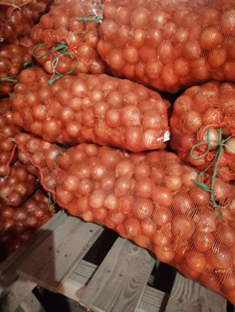 Picture for vendor "FFD-FRUIT"LTD