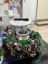 Poza cu Table Decorations